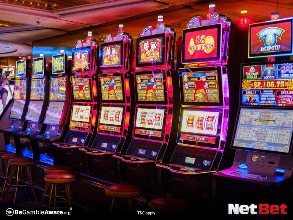 slots35 - Plataforma Cassino Online
